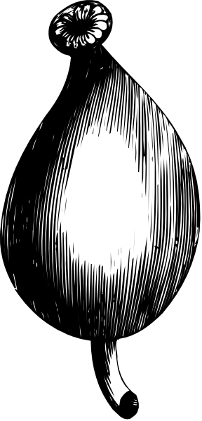 The image shows a black and white photo of an eye with eyelashes on it inside what appears to be a magnifying glass frame.