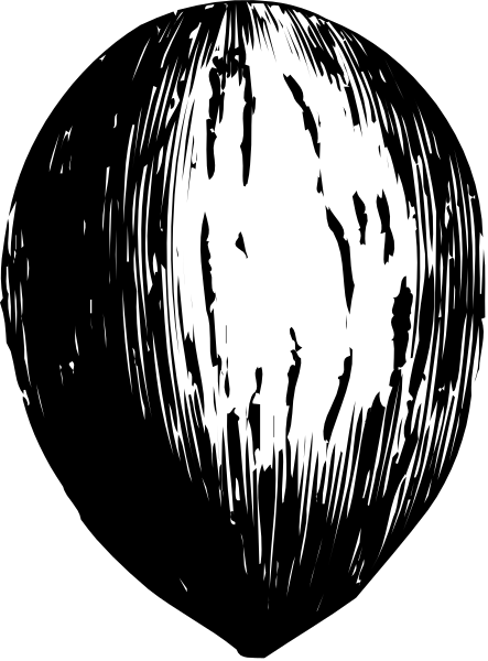 The black and white photo shows a close up of an object that resembles a seed pod with multiple lines radiating outward from its center in various directions, giving it a starburst effect against a dark background.