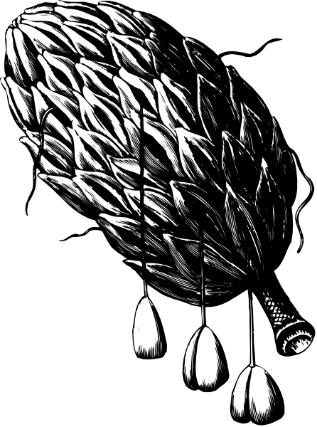 The black and white illustration shows a cluster of feathers with fringe ends hanging down from what appears to be an object resembling a bird's head atop it; there is no text present in this image, which focuses on these elements without any additional context or background details provided by the clip-art style.