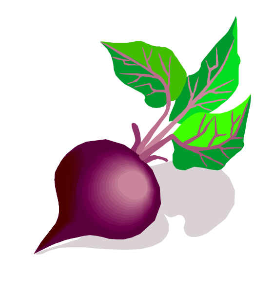The image shows a purple radish with green leaves attached to it on top of an object that resembles a white flower bud in front of which there is another leafy plant partially visible at bottom right corner, all set against black background.