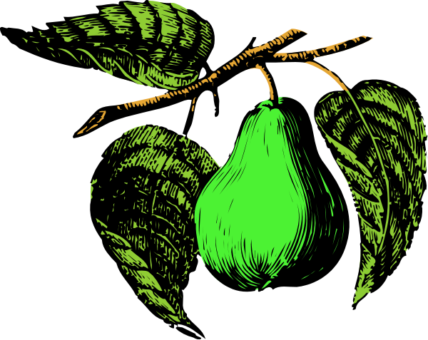 The image shows a green pear with leaves on it next to an orange fruit that resembles a tangerine or clementine in front of what appears to be a leafy plant branch against a dark background, giving off a vintage vibe due to its color palette and style.