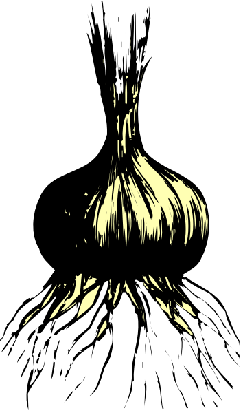 The image shows a black silhouette of an animal with long hair against two different backgrounds: on top is dark gray, while below it's white.