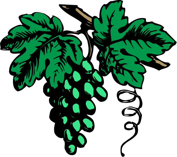 The image shows a graphic of an open bunch of green grapes with leaves attached to them on top left corner against black background.