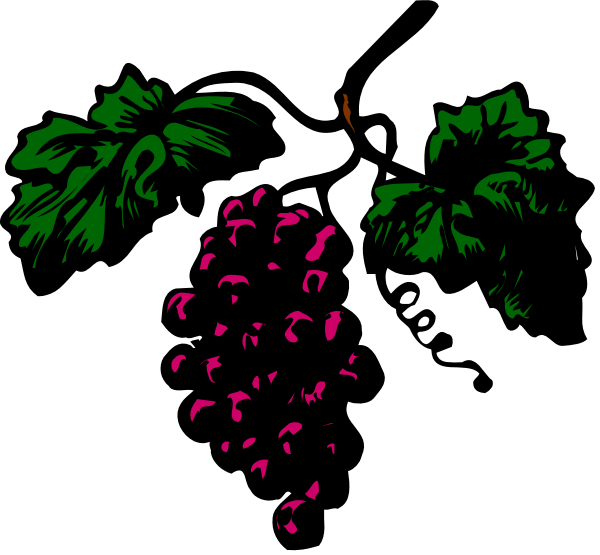 The image shows a cluster of grapes with leaves on either side against a dark background.