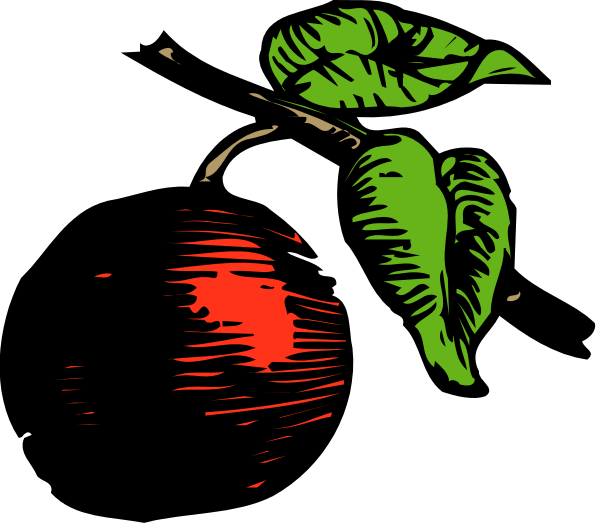 The image shows a black apple with red highlights on it next to an illustration of green leaves against a dark background.