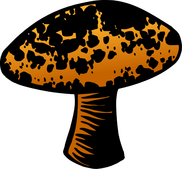 The image shows a cartoon mushroom with orange spots on it against a black background.