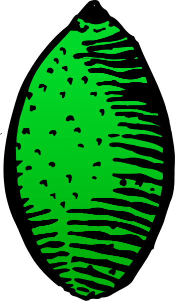 The image shows a closeup of an object with ridges that resembles a fingerprint pattern on it against a black background; there is also another smaller inset picture showing what appears to be a green leaf-like shape, possibly indicating some form of plant or vegetation within the main design.
