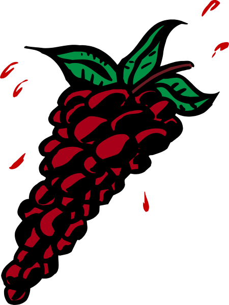 The image shows a red raspberry with green leaves on it against a black background.
