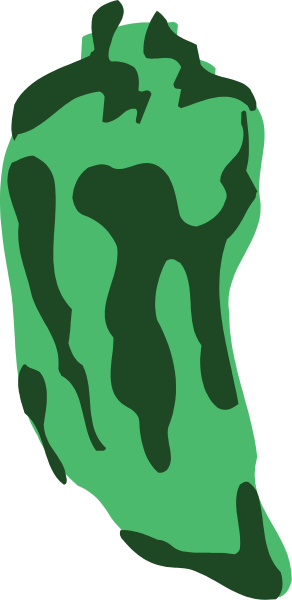 The image shows a green pepper with black spots on it against a gray background.