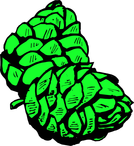 The image shows a green pine cone with leaves on it against a black background.