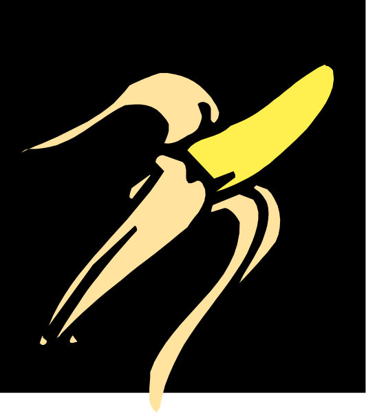 The image shows a cartoon of two bananas with faces; each has an eye on top and is smiling at different angles to create depth perception.