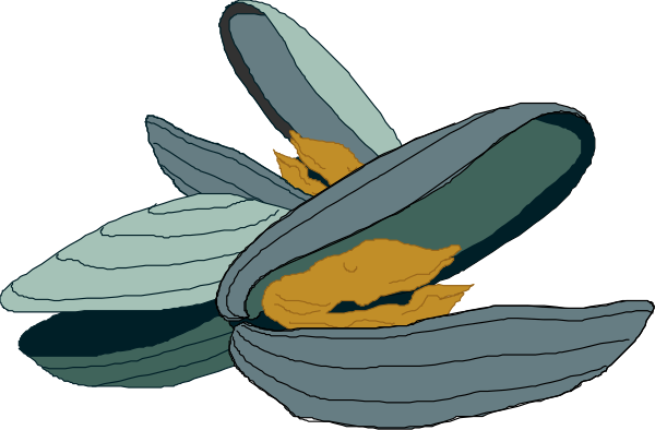 The image shows a cartoon depiction of an open clam with its shells apart revealing two oysters inside; one is yellowish-orange while the other has darker shades resembling mollusks, set against a black background that provides contrast to their colors and shapes.