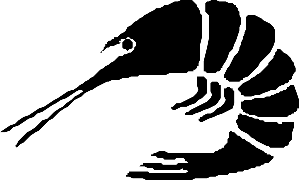 The image shows a black rectangle with white text inside it that reads "Welcome to my website."