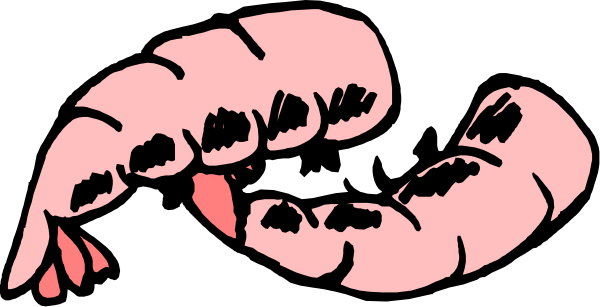 The image shows a pink shrimp with its mouth open against a black background.