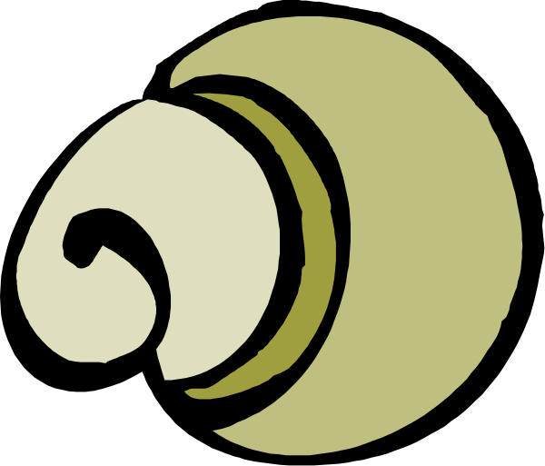 The image shows a cartoon of two snails with shells on their backs facing each other against an unseen background.