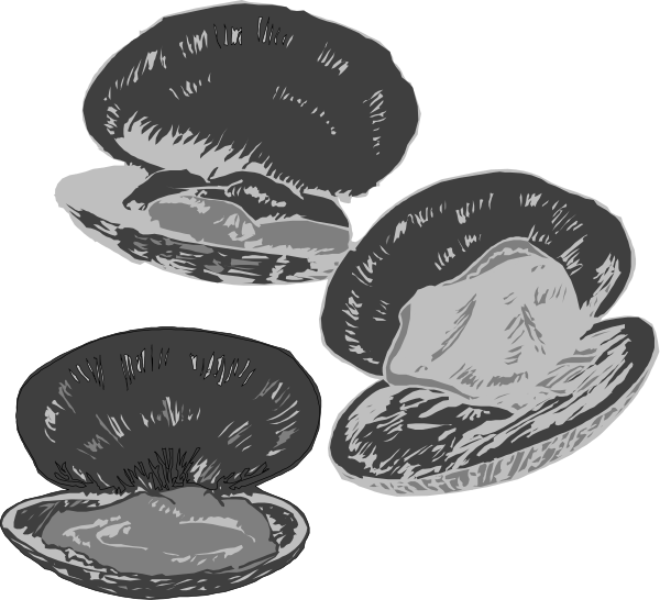 The black and white illustration shows four sandwiches with different fillings on a tabletop background.