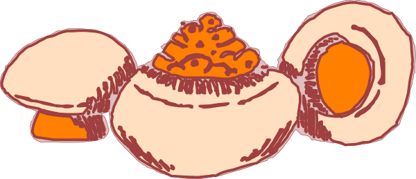 The image shows a cartoon of an egg with two eyes on top sitting next to another similar object that has been cracked open revealing its contents inside it; both eggs have orange yolks at their centers.