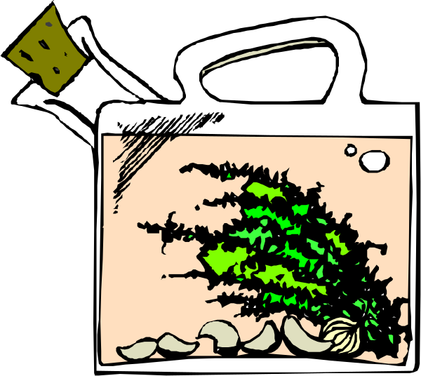 The image shows a cartoon of an aquarium with various plants inside it placed on top of what appears to be a coffee table next to some rocks in front of it; there is also a jar lid visible, suggesting that this might have been taken from a bottle or container used for storing the plant.