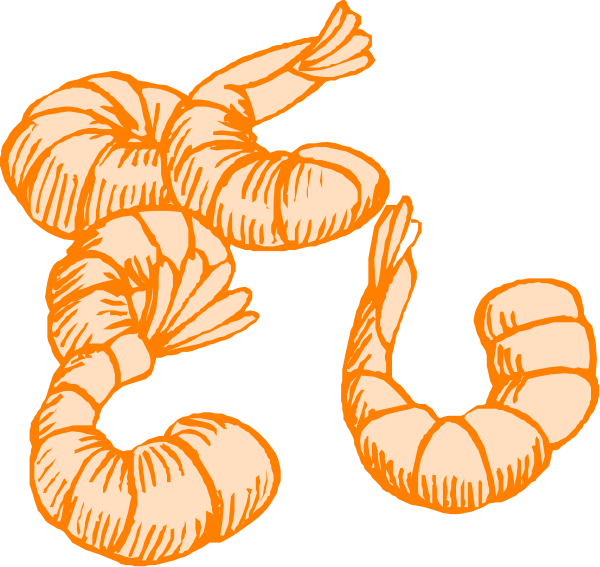The image shows a cartoon depiction of shrimp with an exaggeratedly large head on top of two smaller bodies connected by what appears to be tentacles; one body is labeled "eu" in orange, and another has no label but looks similar.