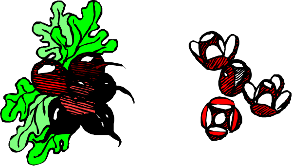 The image shows a black banner with colorful decorations on it that include red flowers at each end and green leaves in between; there is also an illustration of what appears to be broccoli florets, possibly indicating healthy eating habits as part of its design theme.