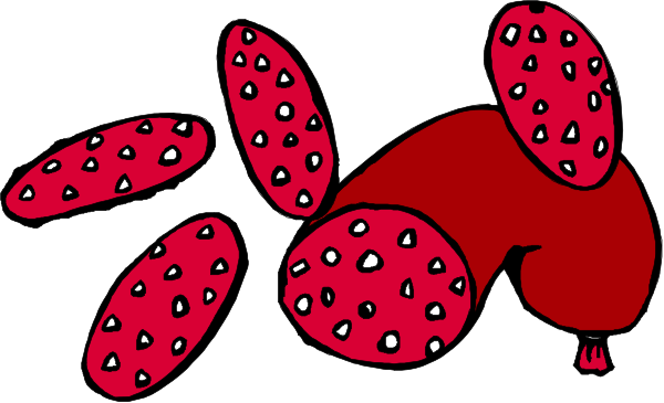 The image shows a cartoon of an octopus with red spots on its body surrounded by strawberries floating around it in water.