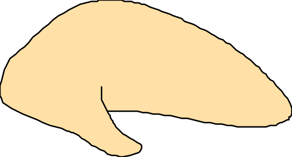The image shows a cartoon of an otter swimming underwater with bubbles around it.