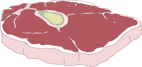The image shows two pieces of meat with a green spot on them against a dark background.