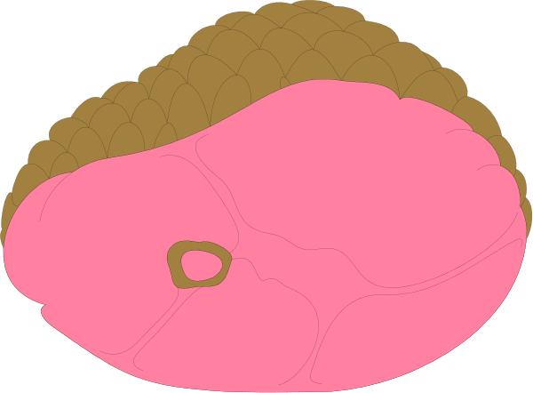 The image shows a pink lobster with two claws on each side of its body facing towards different directions against a black background.
