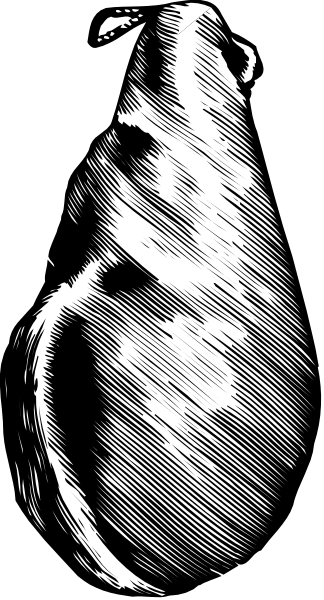The image shows a black and white illustration of an object that resembles a shell with intricate patterns on it.