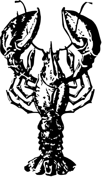 The image shows a black and white photo of an object that resembles a stylized animal with multiple limbs extending from its body in various directions; it is set against a dark background which contrasts sharply with the lighter tones of the creature, emphasizing its form.