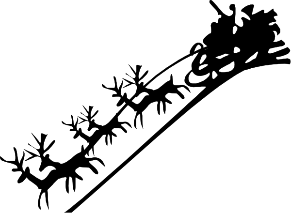 The image shows a black background with Arabic text written on it.