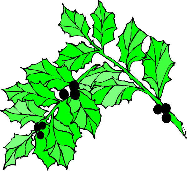 The image shows a stylized illustration of green leaves with black outlines on what appears to be an overlaid transparent background.