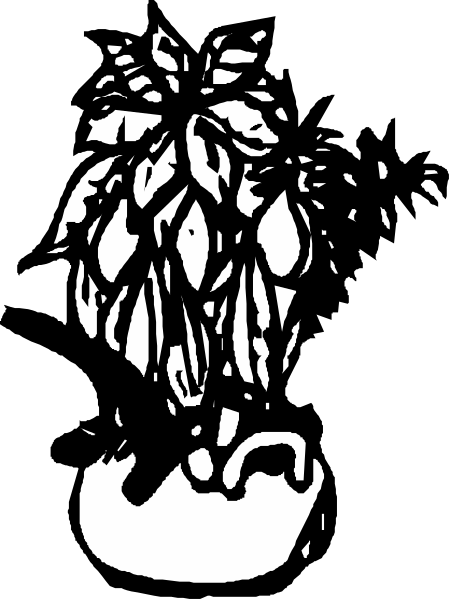 The black and white silhouette of a plant with leaves on top against an indistinct background.