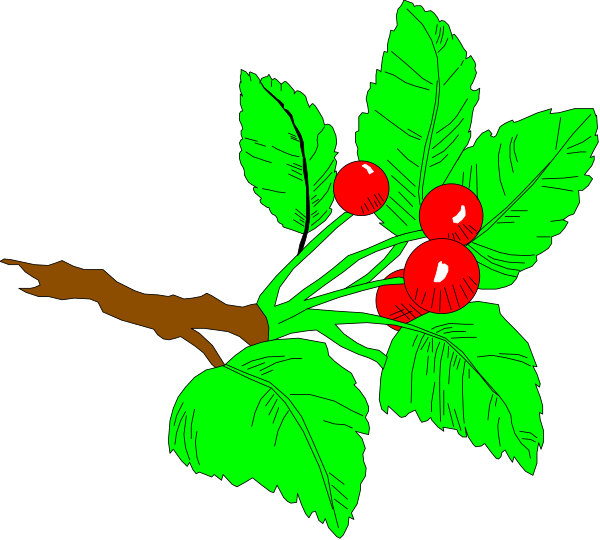 The image shows a digital illustration of red berries on green leaves with branches against a black background.