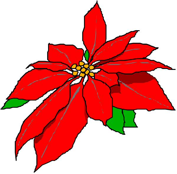 The image shows a red poinsettia flower with green leaves on its sides against a black background.
