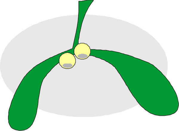 The image shows a cartoon of two green plants with yellow flowers on top against a white background.