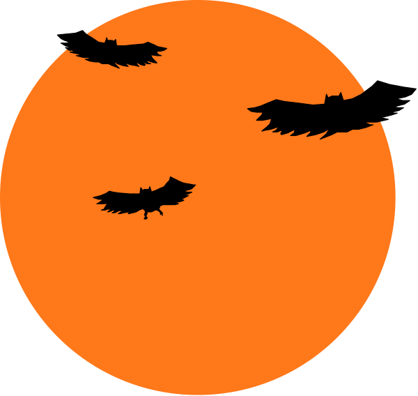 The image shows a stylized representation of an orange sun with two black silhouettes resembling bats flying above it on either side.