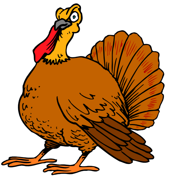 The image shows a cartoon of two turkeys: on top left, there is an illustration with only the head visible; below it to its right (bottom left), both birds' bodies can be seen in full view against different backgrounds—one black and one white.