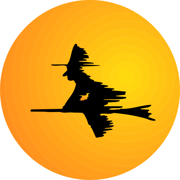 The image shows a black silhouette of an airplane flying over two suns with faces drawn on them; there is no text present in this clip-art illustration.