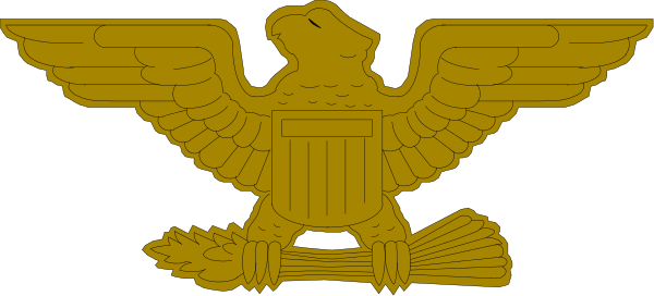The image shows a gold eagle emblem with wings spread out on top of what appears to be an American flag background.