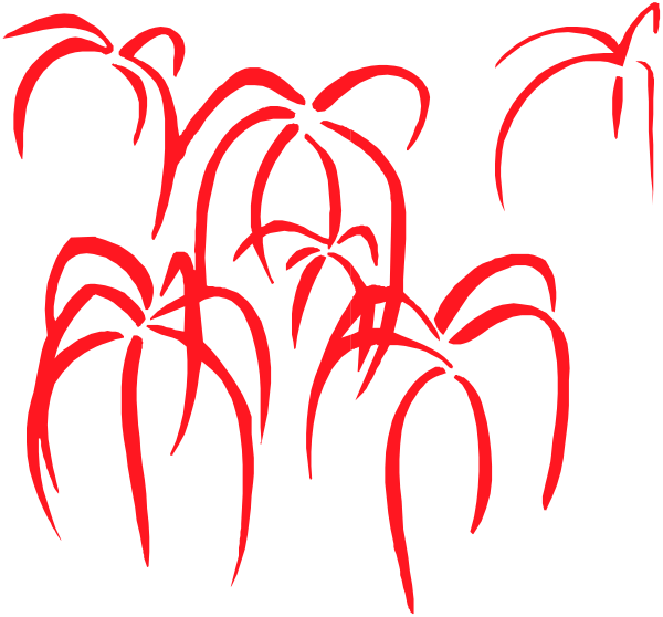 The image shows a collection of red plants with long stems against a black background.