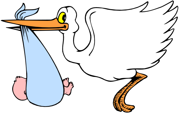 The image shows a cartoon of an ostrich with its head inside another bird's nest while holding what appears to be a baby chick in one hand.