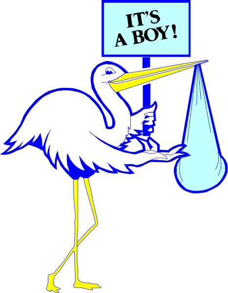 The image shows a cartoon of an ostrich holding a sign that reads "It's A Boy!" with its beak on top of another bird in what appears to be a nest-like structure, set against a black background.