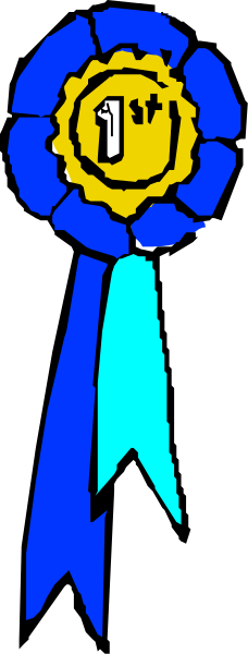 The image shows a blue ribbon with two stars on it attached to an object that resembles a medal of some sort in front of what appears to be a flagpole.