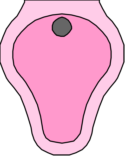 The image shows a cartoon representation of an ovary with two follicles inside it; there is no text present in this clip-art illustration.