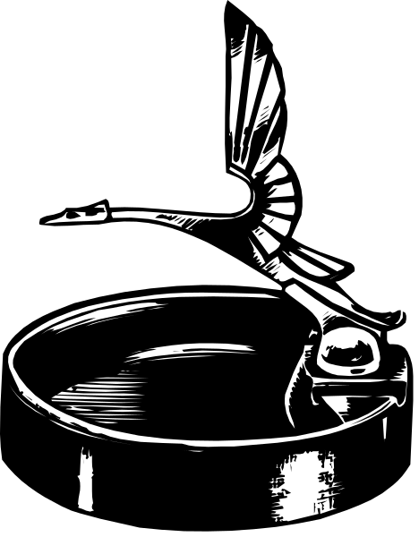 The black and white illustration shows a bird with outstretched wings flying over an open pot of water on top of what appears to be a stove burner.