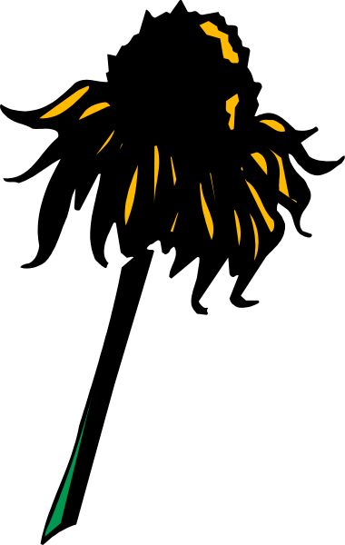 The image shows a firework exploding against a dark background with yellow sparks visible at its peak of explosion.
