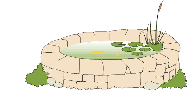 The image shows a stone pond with water inside it surrounded by rocks on all sides except for where there is grass growing in front of one side; within this area, two frogs can be seen sitting near each other and facing opposite directions from an unseen observer's perspective.