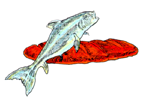 The image shows a red fish with white spots swimming above an arrow pointing downward to another smaller fish below it on what appears to be water background.