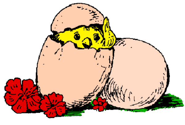 The image shows a cartoon depiction of two eggs with faces on them lying next to each other amidst red flowers; one egg has sunglasses over its eyes while the other is wearing glasses that resemble human-like features, and there's an exaggeratedly large pair of scissors in front.